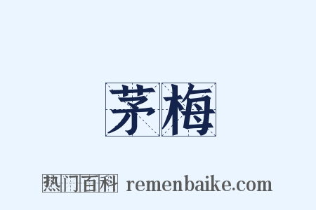 茅梅是什么意思的图片